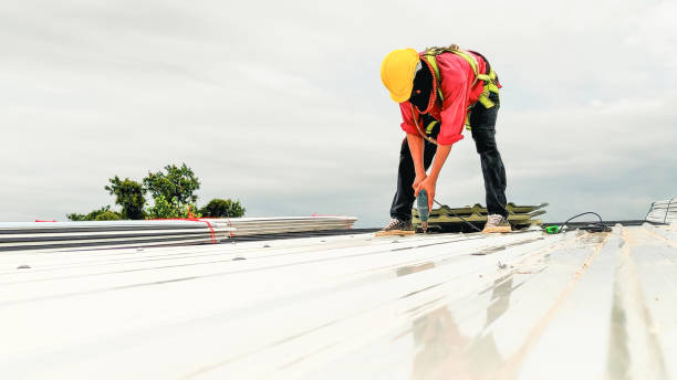 Best Commercial Roofing Services  in Prestbury, IL