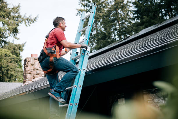 Professional Roofing Service in Prestbury, IL